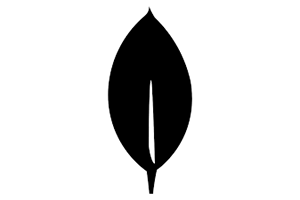 icon01